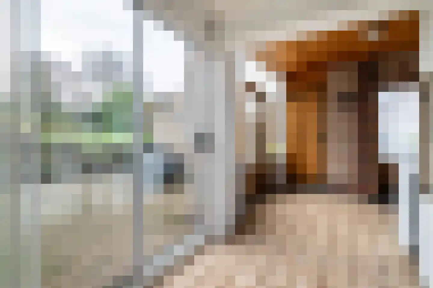 Groenstraat 92 Landgraaf thumbnail 12