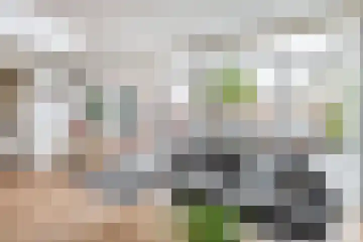 Groenstraat 92 Venlo thumbnail 12