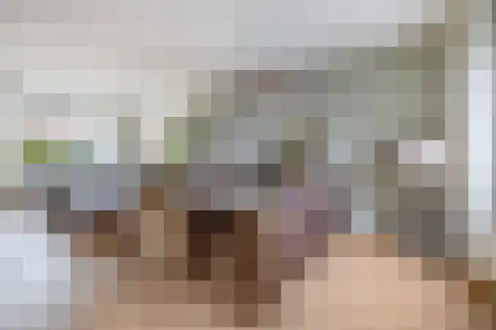 Groenstraat 92 Venlo thumbnail 7