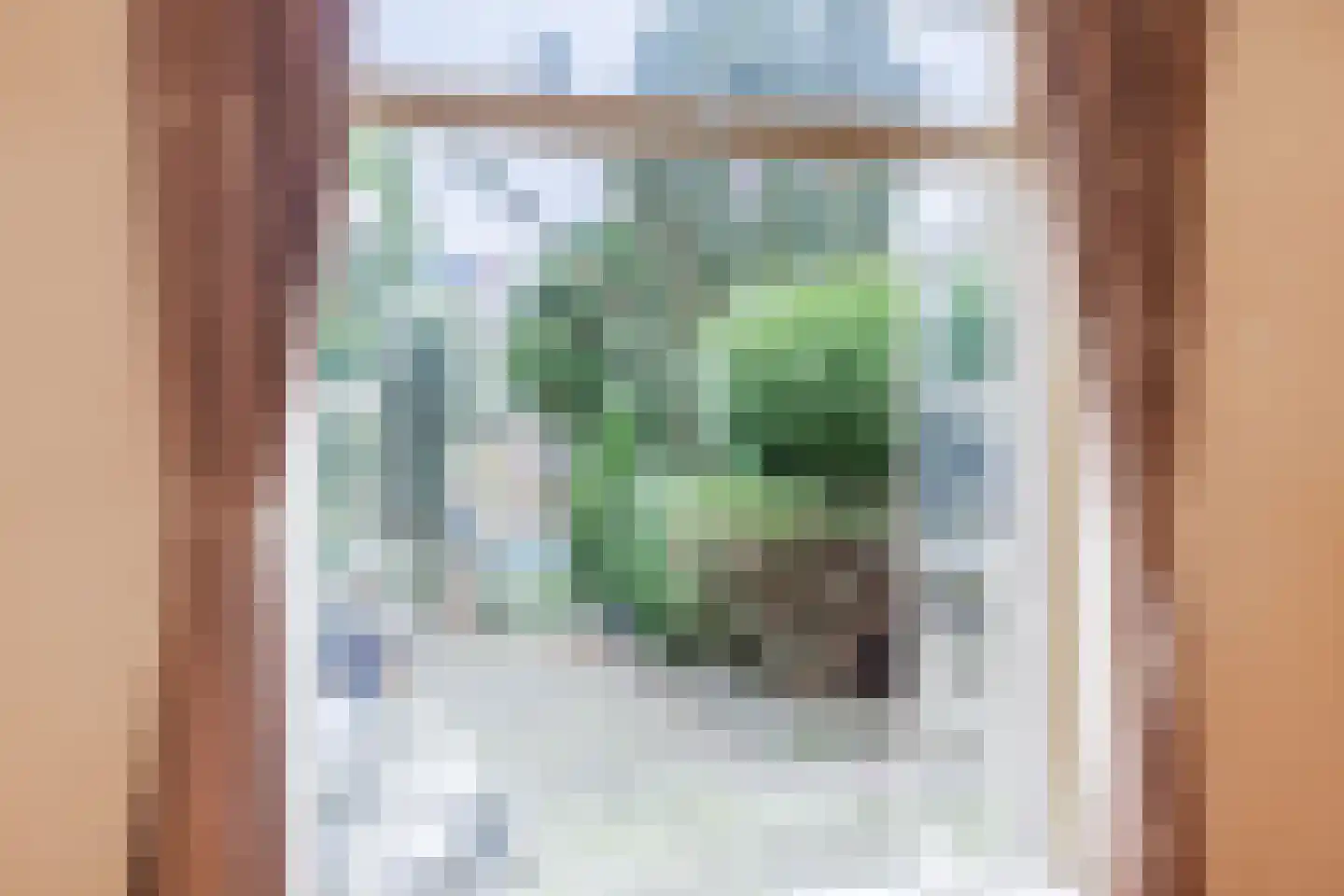 Groenstraat 93 Tilburg thumbnail 10