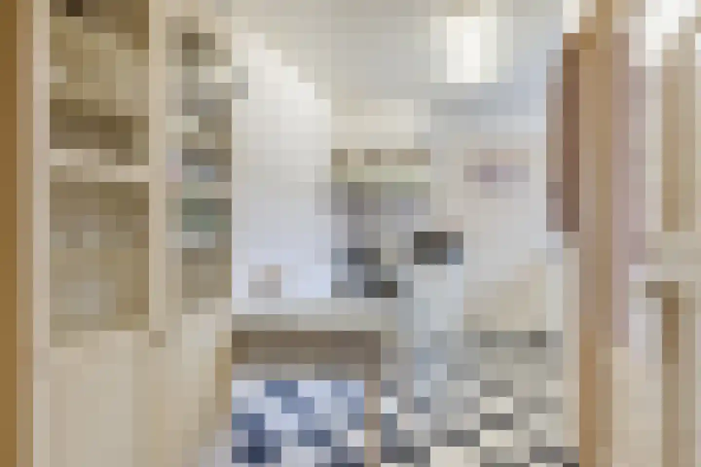 Groenstraat 93 Tilburg thumbnail 12
