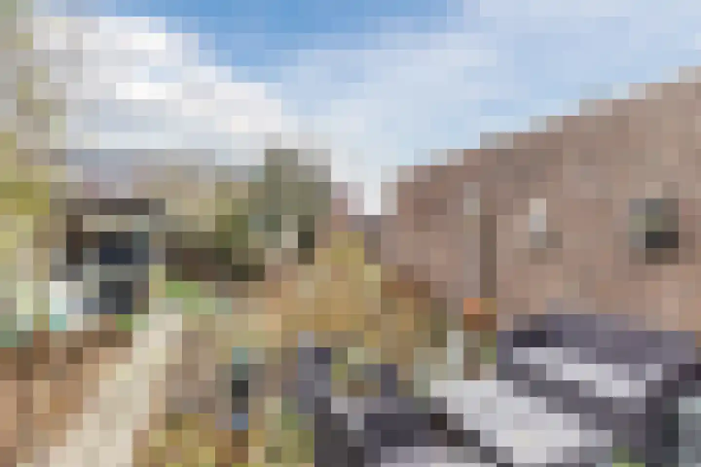 Groenstraat 93 Tilburg thumbnail 33