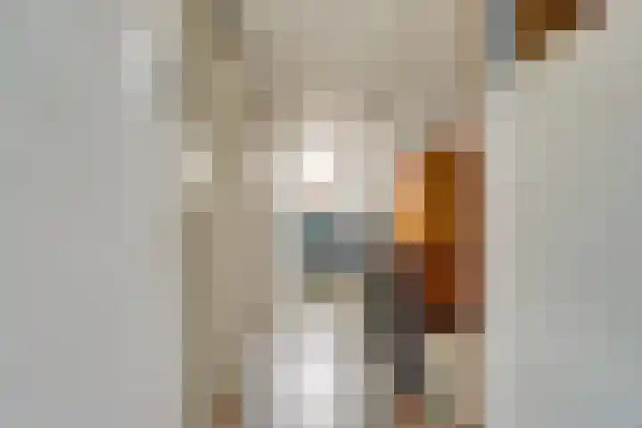 Groensvoorde 84 Waddinxveen thumbnail 26