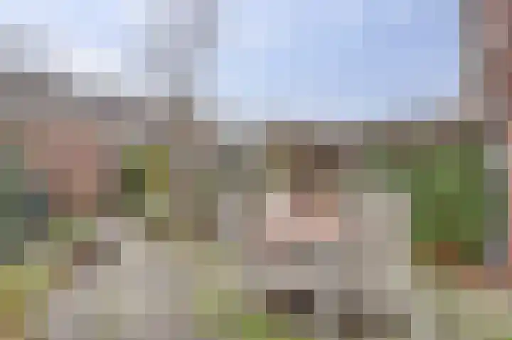 Groensvoorde 84 Waddinxveen thumbnail 5