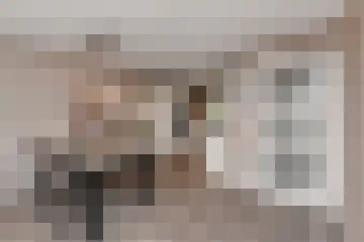 Groentelaan 13 Wateringen thumbnail 12
