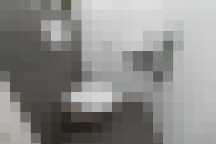 Groentelaan 13 Wateringen thumbnail 20