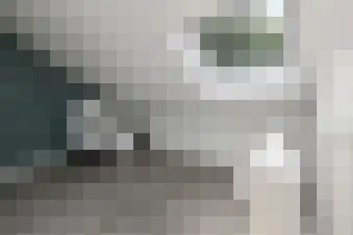 Groentelaan 13 Wateringen thumbnail 33