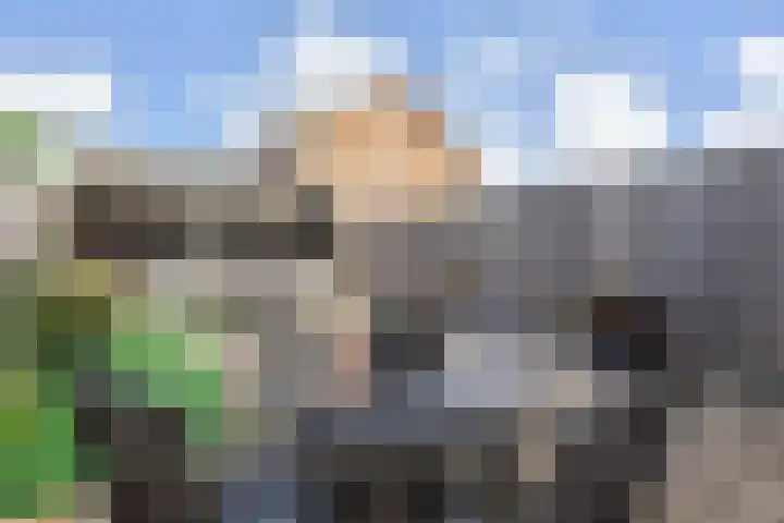 Groentelaan 13 Wateringen thumbnail 40