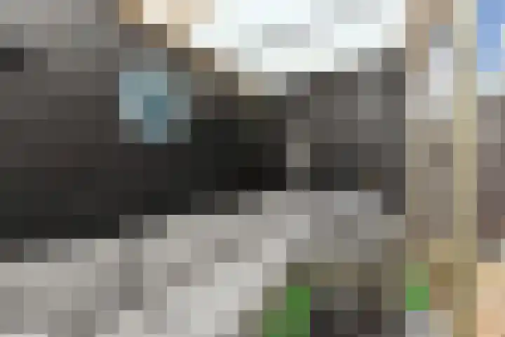 Groentelaan 13 Wateringen thumbnail 42