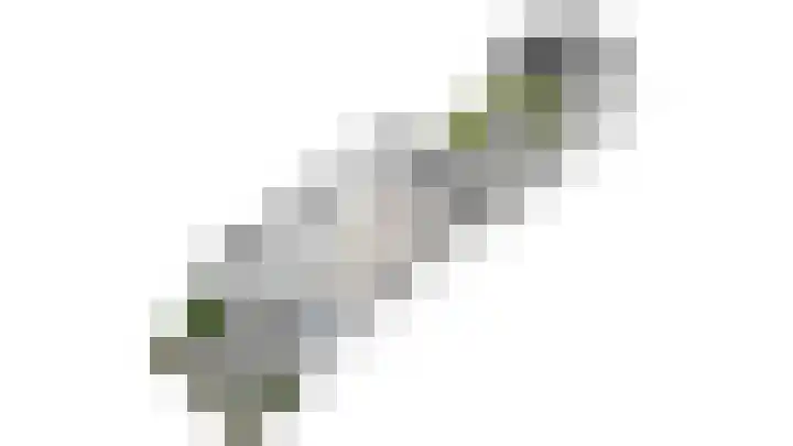 Groentelaan 13 Wateringen thumbnail 54