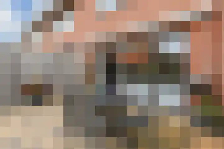 Groentelaan 13 Wateringen thumbnail 7