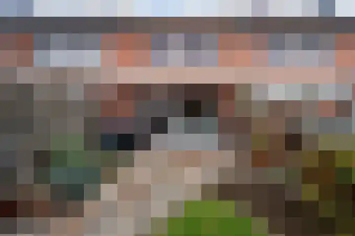 Groentelaan 9 Wateringen thumbnail 20
