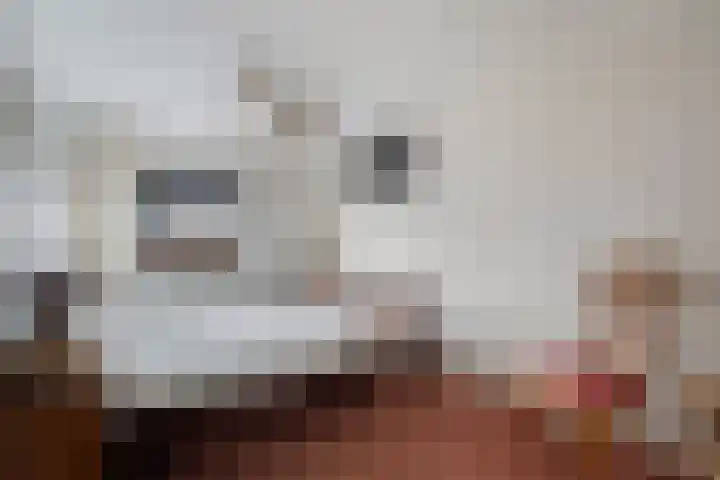 Groentelaan 9 Wateringen thumbnail 21
