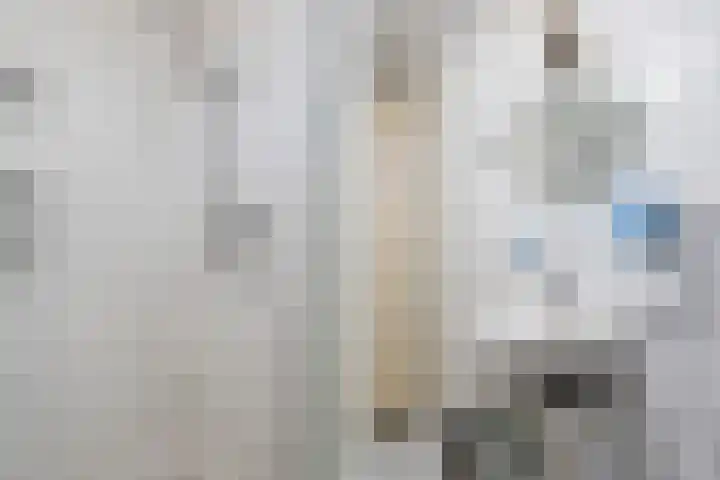 Groentelaan 9 Wateringen thumbnail 30