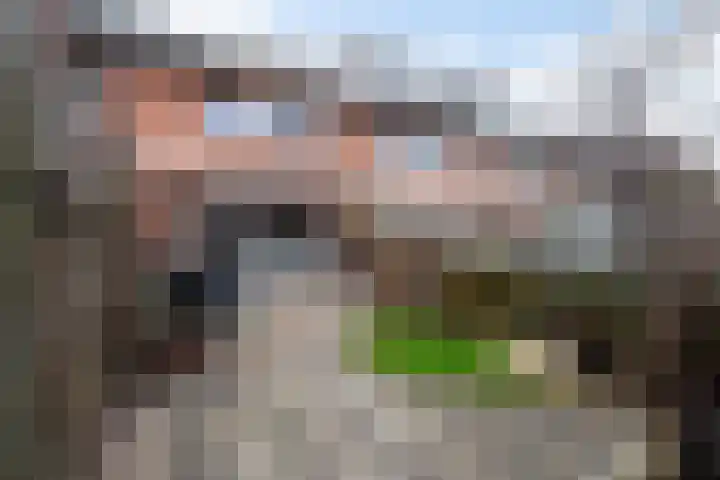 Groentelaan 9 Wateringen thumbnail 4
