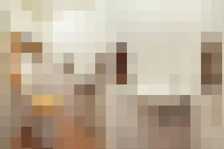 Groentelaan 9 Wateringen thumbnail 8
