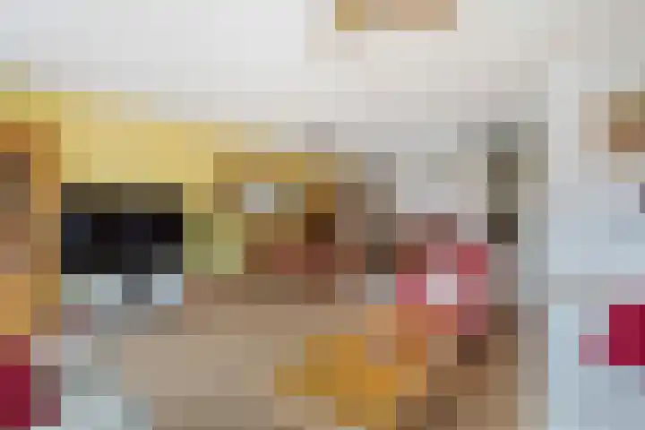 Groentelaan 9 Wateringen thumbnail 9