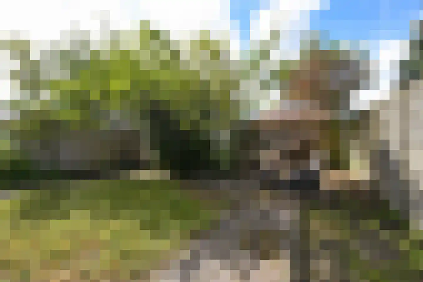 Groenteweg 100 Den Haag thumbnail 29