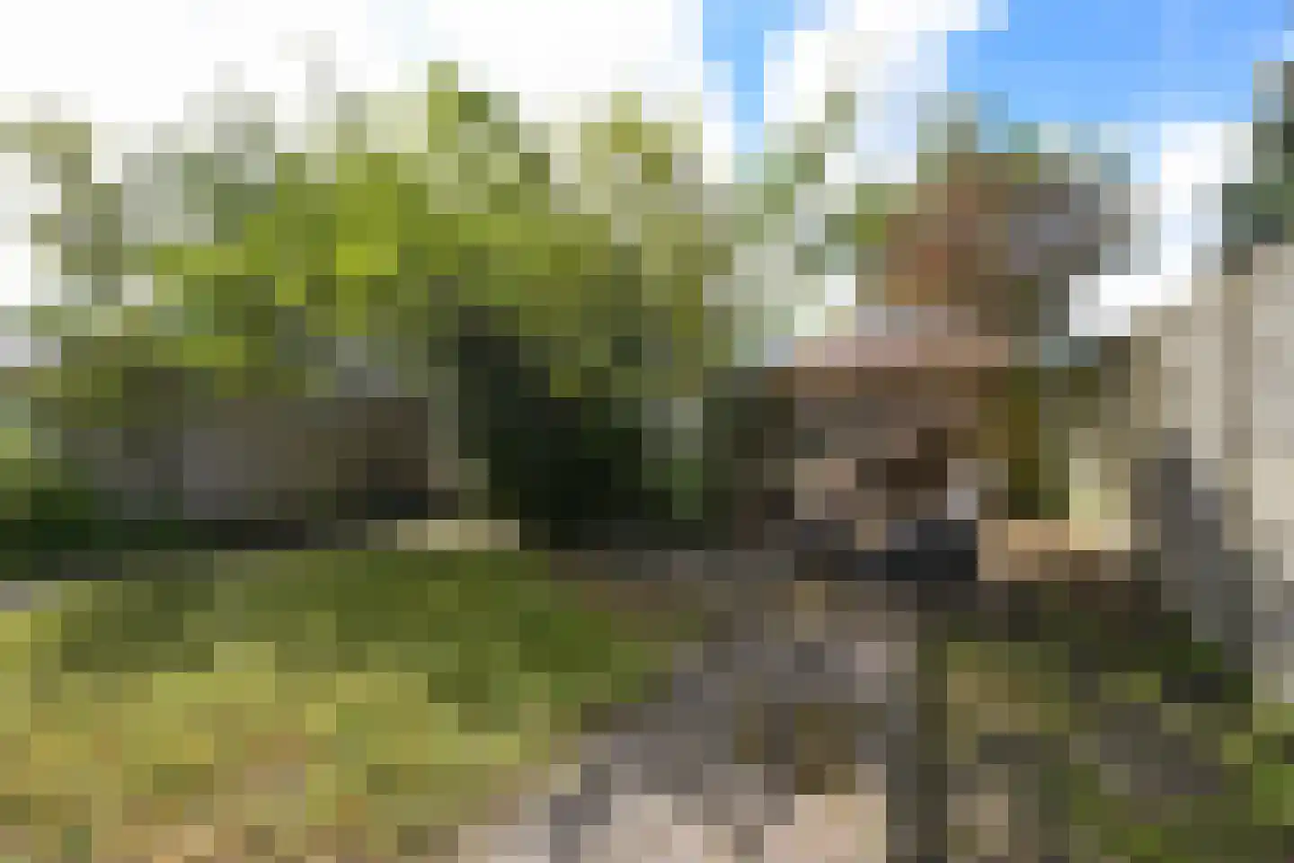 Groenteweg 100 Den Haag thumbnail 30