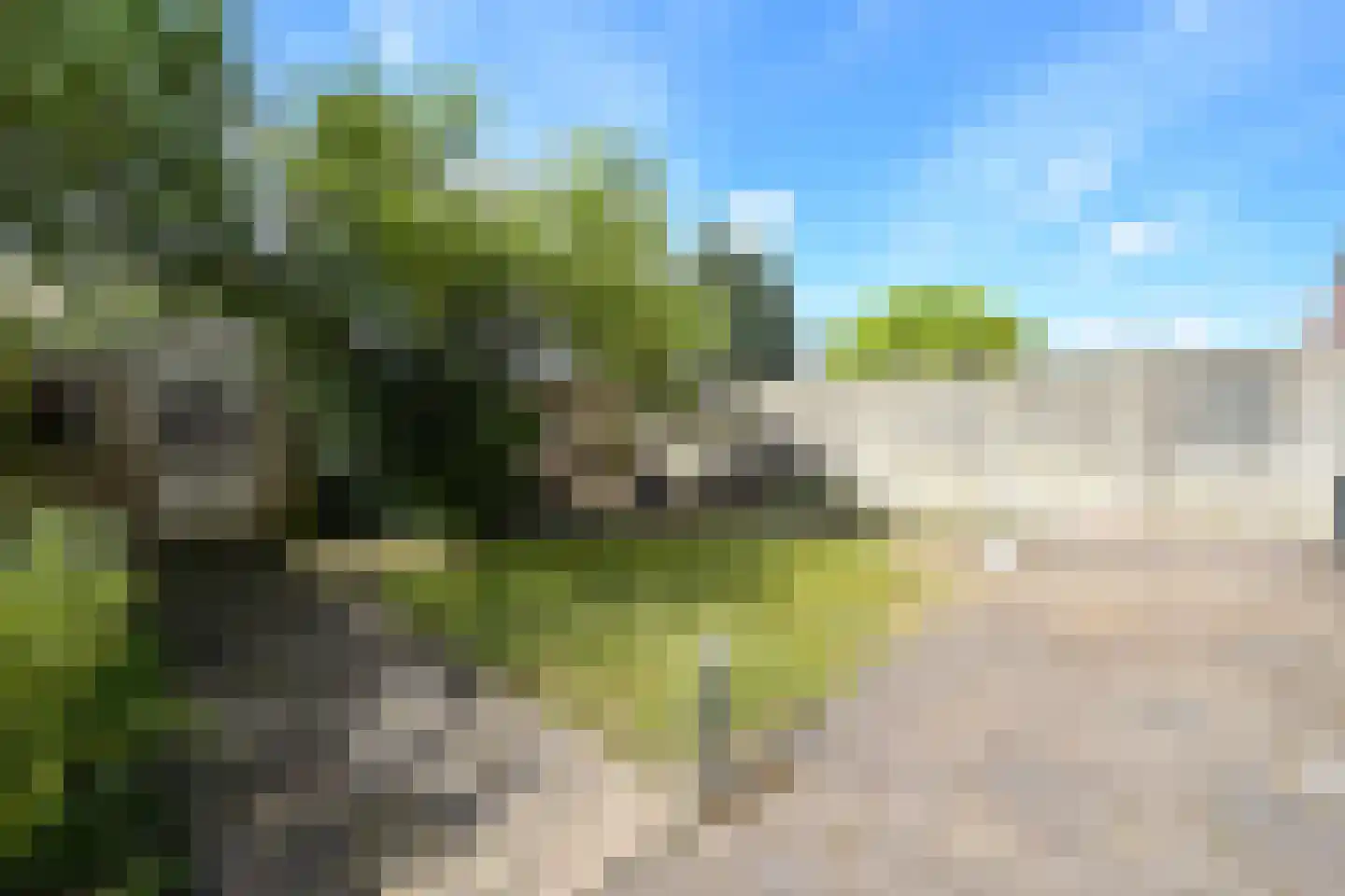 Groenteweg 100 Den Haag thumbnail 30