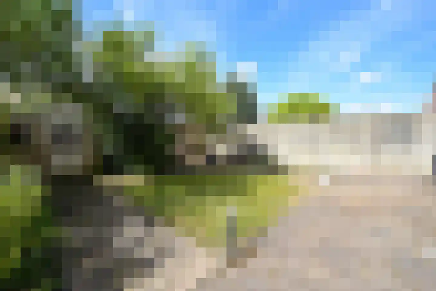 Groenteweg 100 Den Haag thumbnail 31