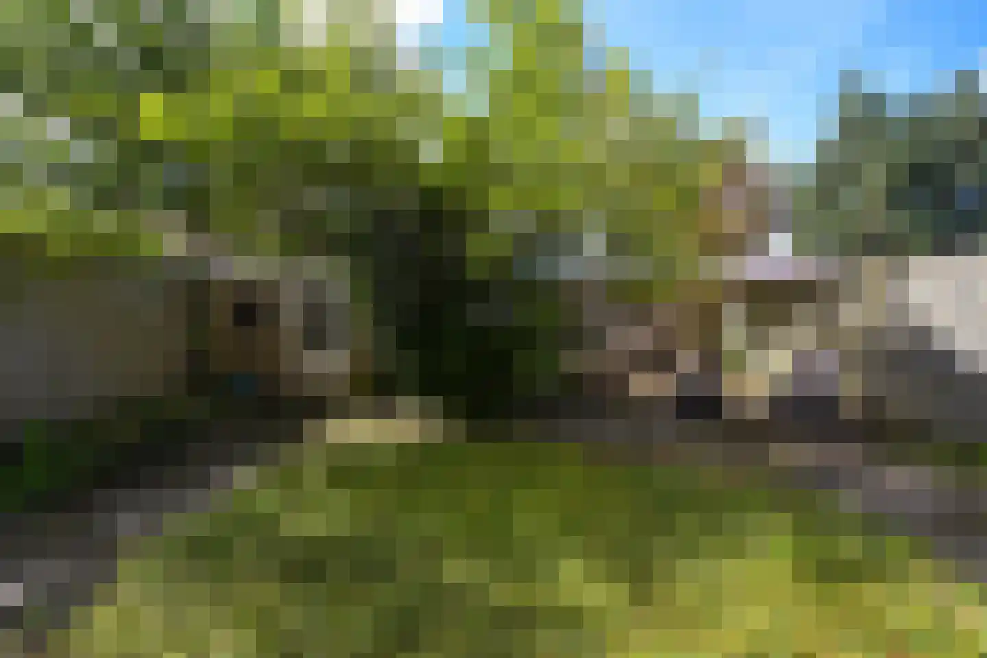 Groenteweg 100 Den Haag thumbnail 31