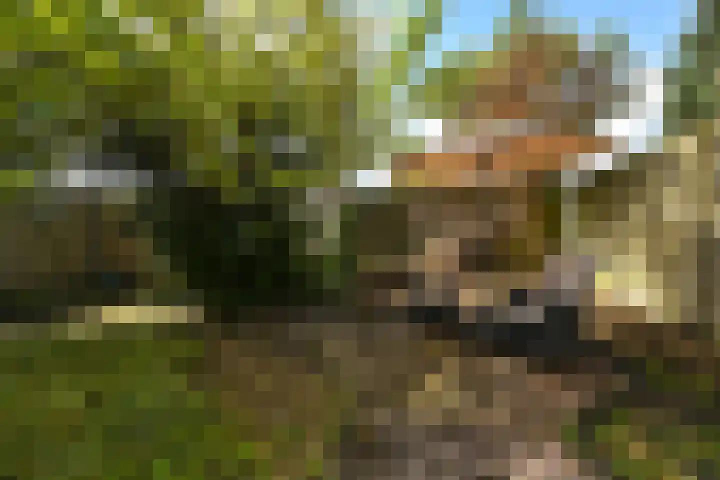 Groenteweg 100 Den Haag thumbnail 32