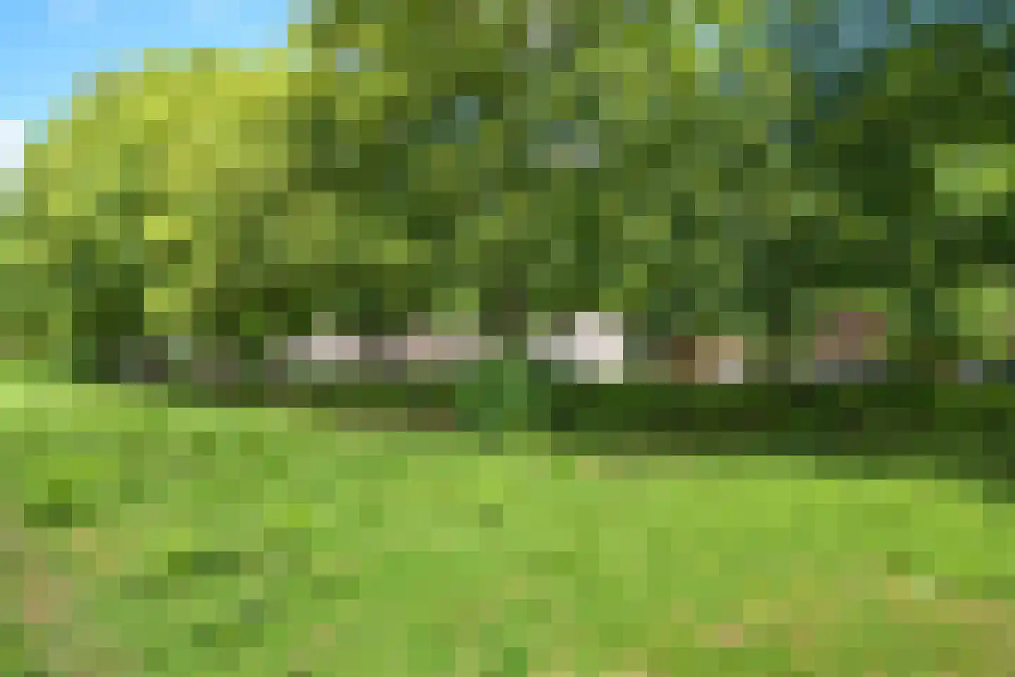 Groenteweg 100 Den Haag thumbnail 38
