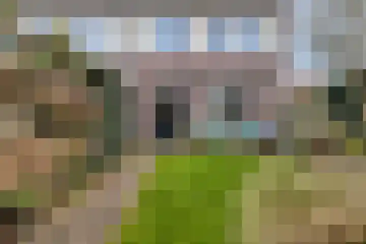 Groenveld 13 Middenbeemster thumbnail 13