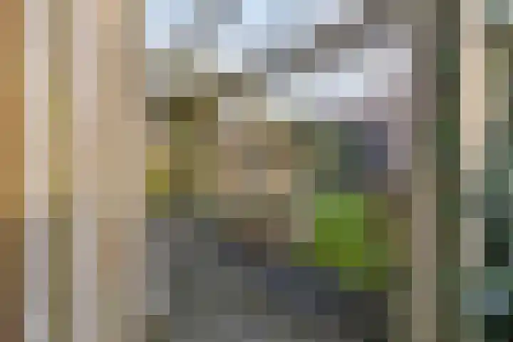 Groenveld 13 Middenbeemster thumbnail 15