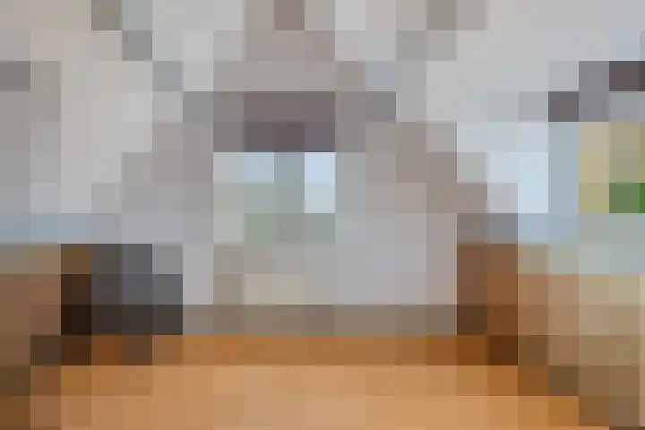 Groenveld 13 Middenbeemster thumbnail 28