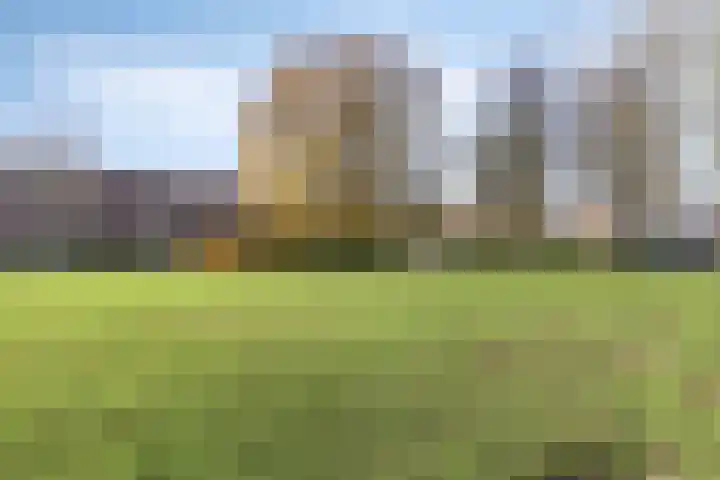 Groenveld 13 Middenbeemster thumbnail 34