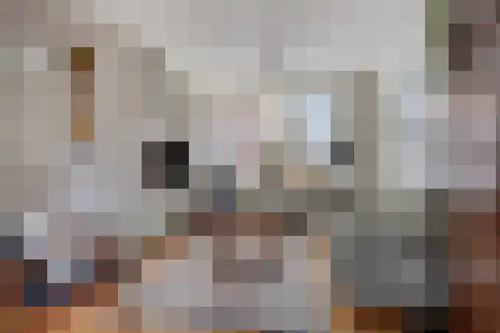 Groenveld 13 Middenbeemster thumbnail 4