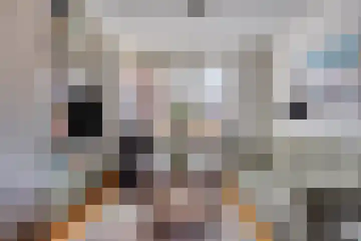 Groenveld 13 Middenbeemster thumbnail 7