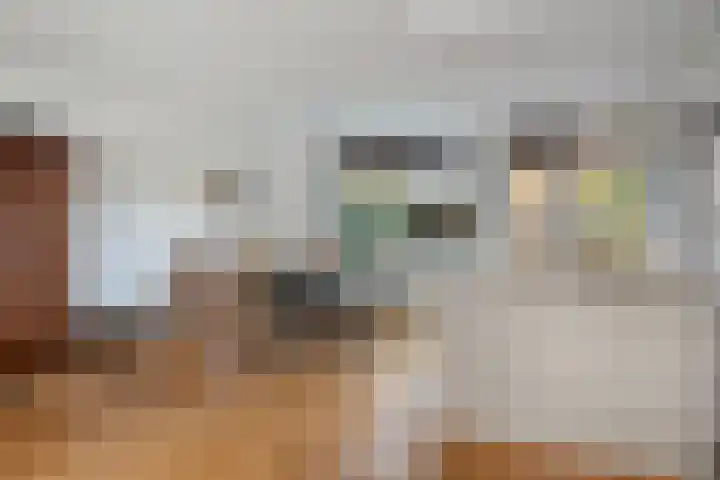 Groenveld 13 Middenbeemster thumbnail 9