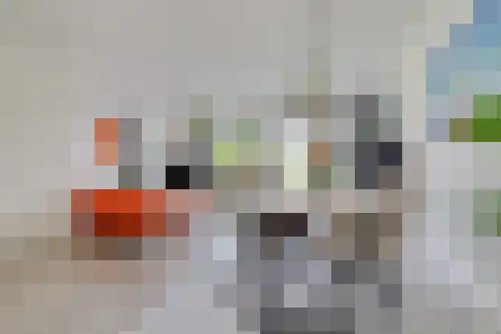 Groenveld 16 Middenbeemster thumbnail 12