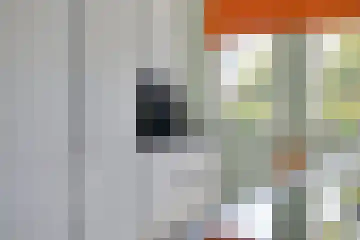 Groenveld 16 Middenbeemster thumbnail 20