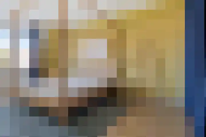 Groenveld 16 Middenbeemster thumbnail 25