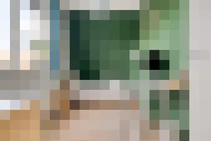 Groenveld 16 Middenbeemster thumbnail 29