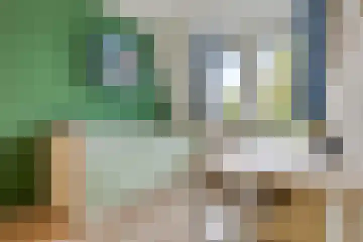 Groenveld 16 Middenbeemster thumbnail 30