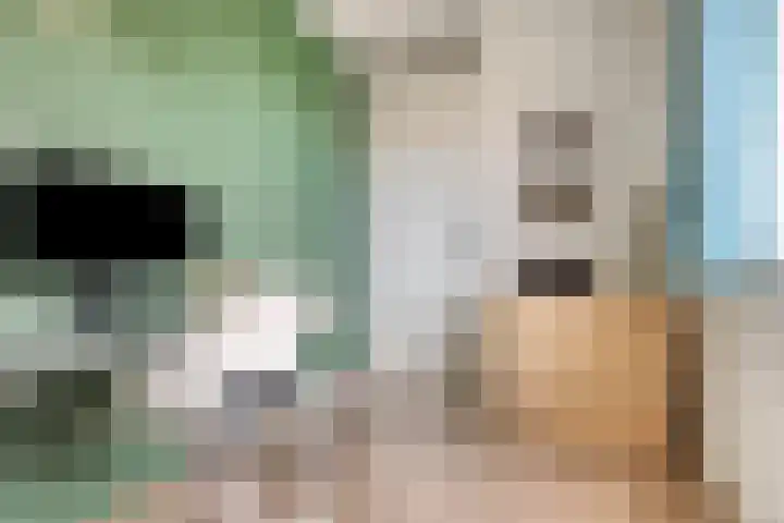 Groenveld 16 Middenbeemster thumbnail 31