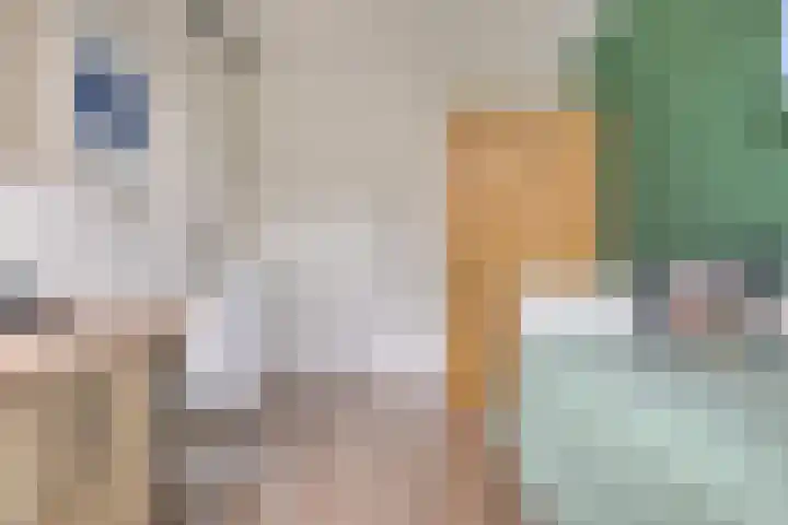 Groenveld 16 Middenbeemster thumbnail 32