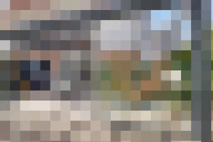 Groenveld 16 Middenbeemster thumbnail 38