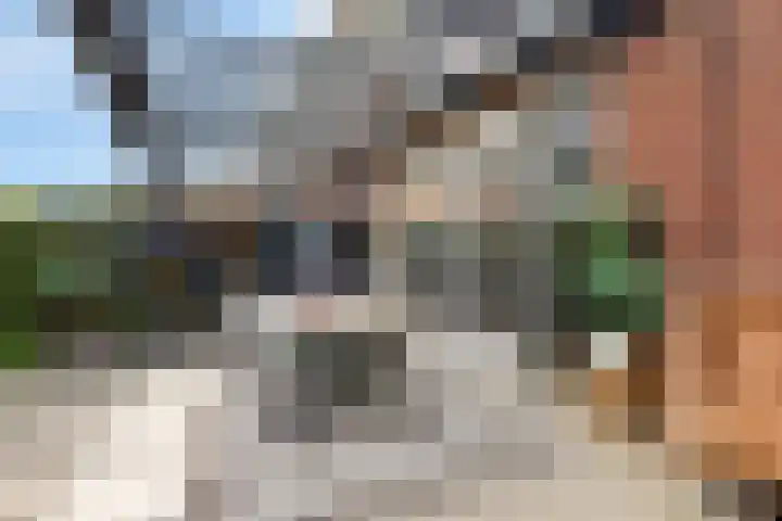 Groenveld 16 Middenbeemster thumbnail 39