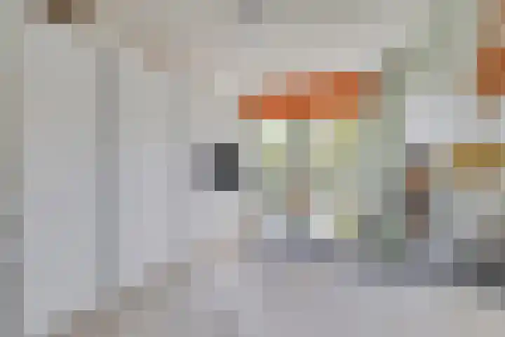 Groenveld 16 Middenbeemster thumbnail 4