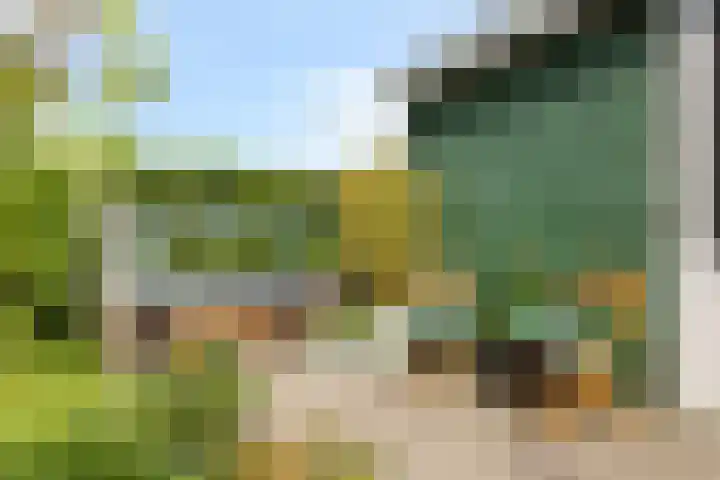 Groenveld 16 Middenbeemster thumbnail 40