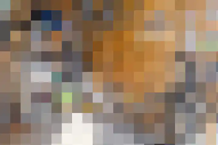 Groenveld 16 Middenbeemster thumbnail 41