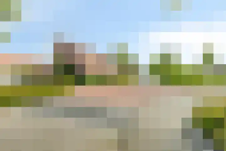 Groenveld 16 Middenbeemster thumbnail 42