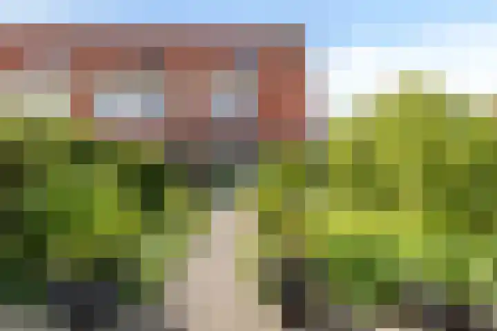 Groenveld 16 Middenbeemster thumbnail 43