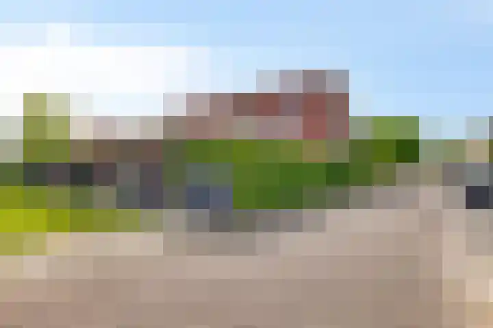 Groenveld 16 Middenbeemster thumbnail 46